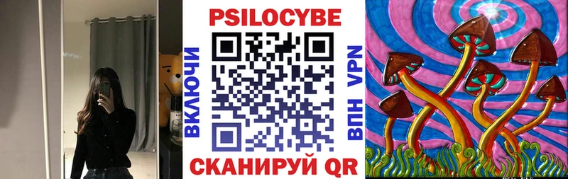 Купить где  Дюртюли  Галлюциногенные грибы Psilocybine cubensis 